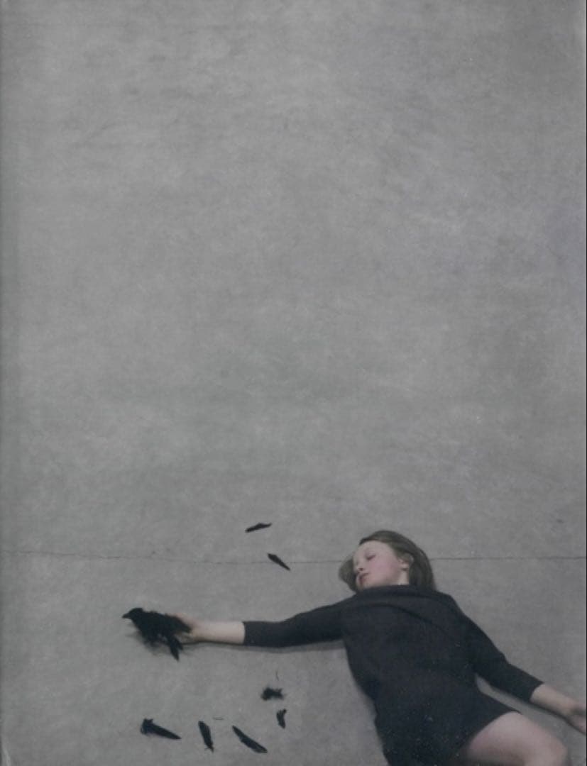 Robert & Shana Parkeharrison 作品集　希少