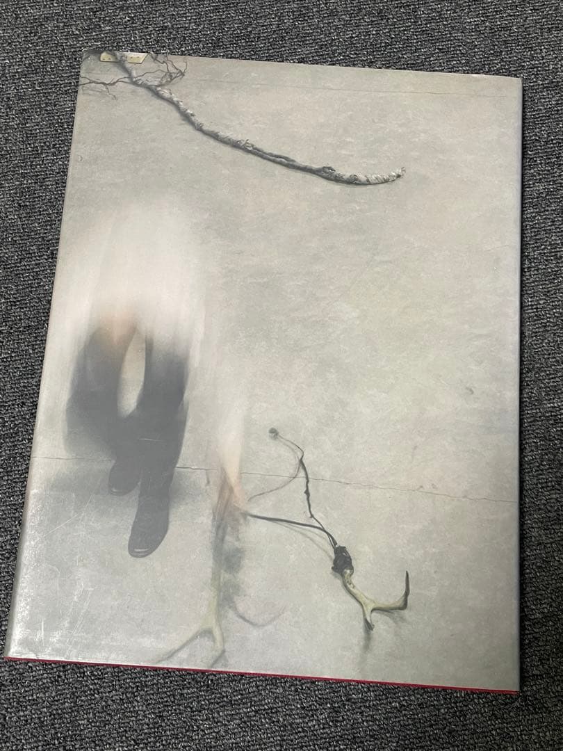 Robert & Shana Parkeharrison 作品集　希少