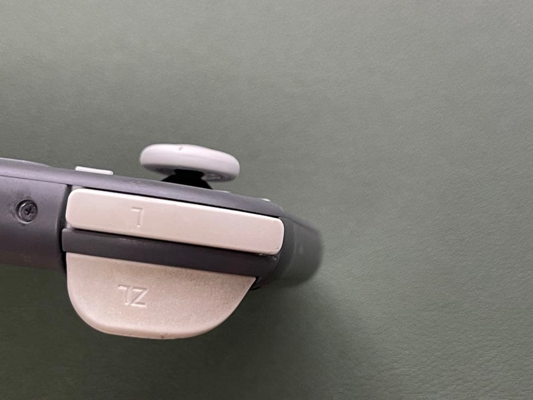 Nintendo Switch Lite グレー ケース・ソフト付き