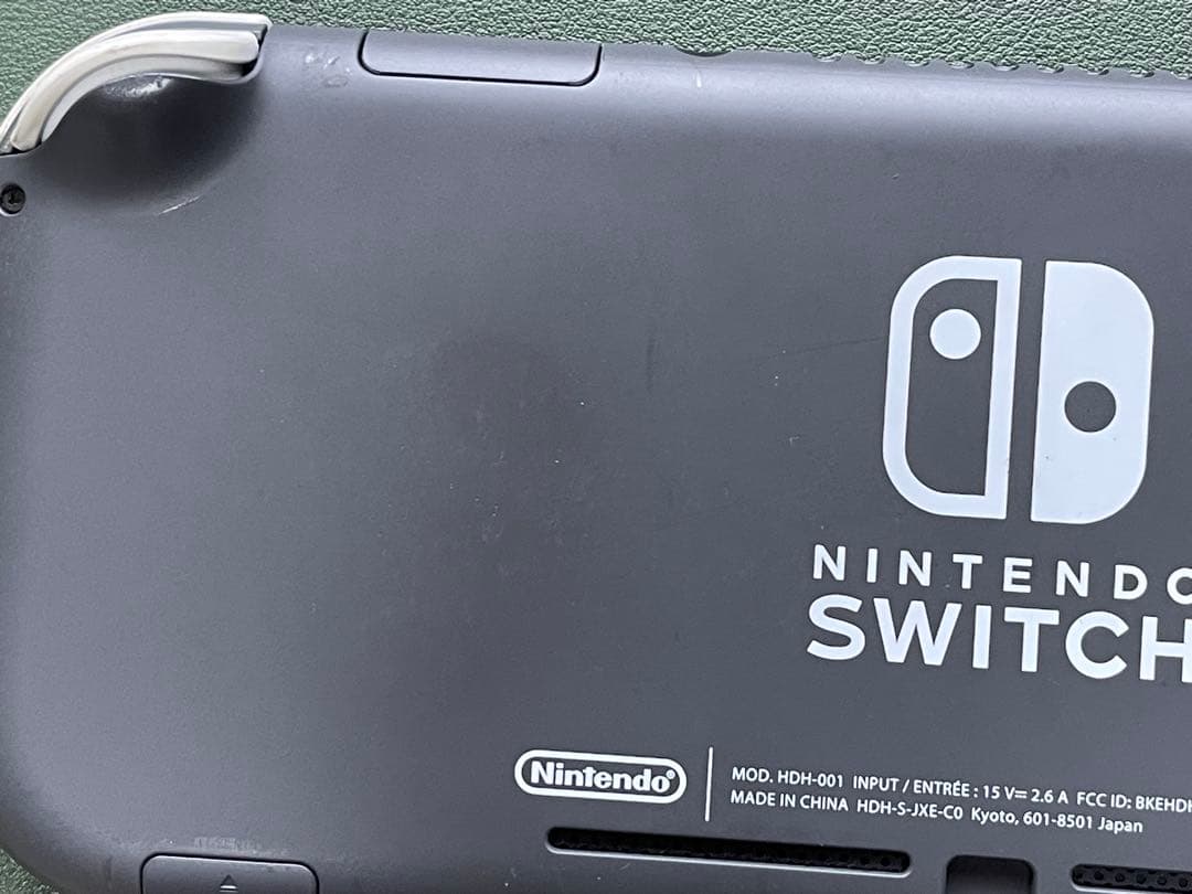 Nintendo Switch Lite グレー ケース・ソフト付き