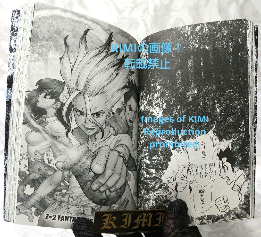 希少 初版 Dr.STONE 1 コミック 2017 Boichi,稲垣 理一郎