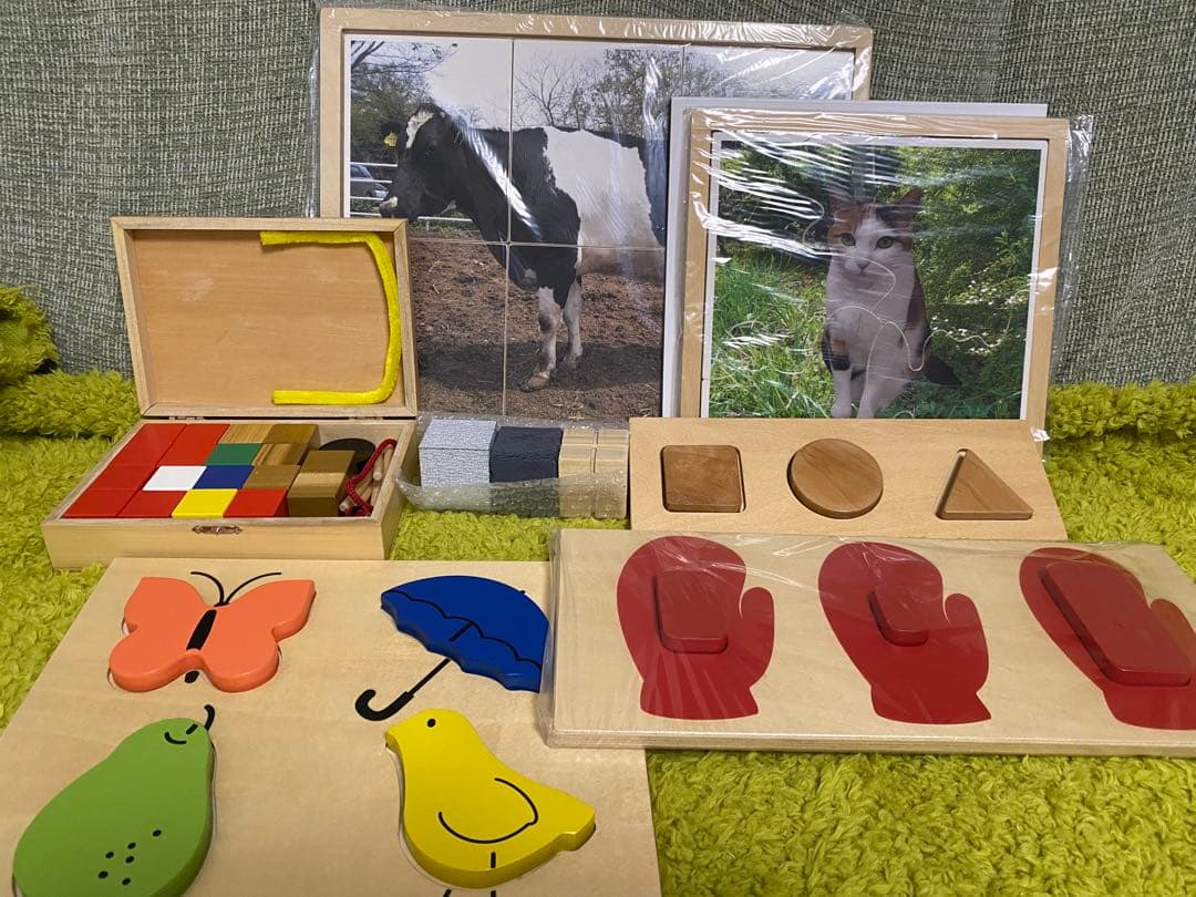 最終価格:自閉症 発達障害児 教育診断検査　三訂版　PEP-3