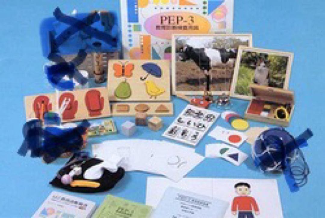 最終価格:自閉症 発達障害児 教育診断検査　三訂版　PEP-3