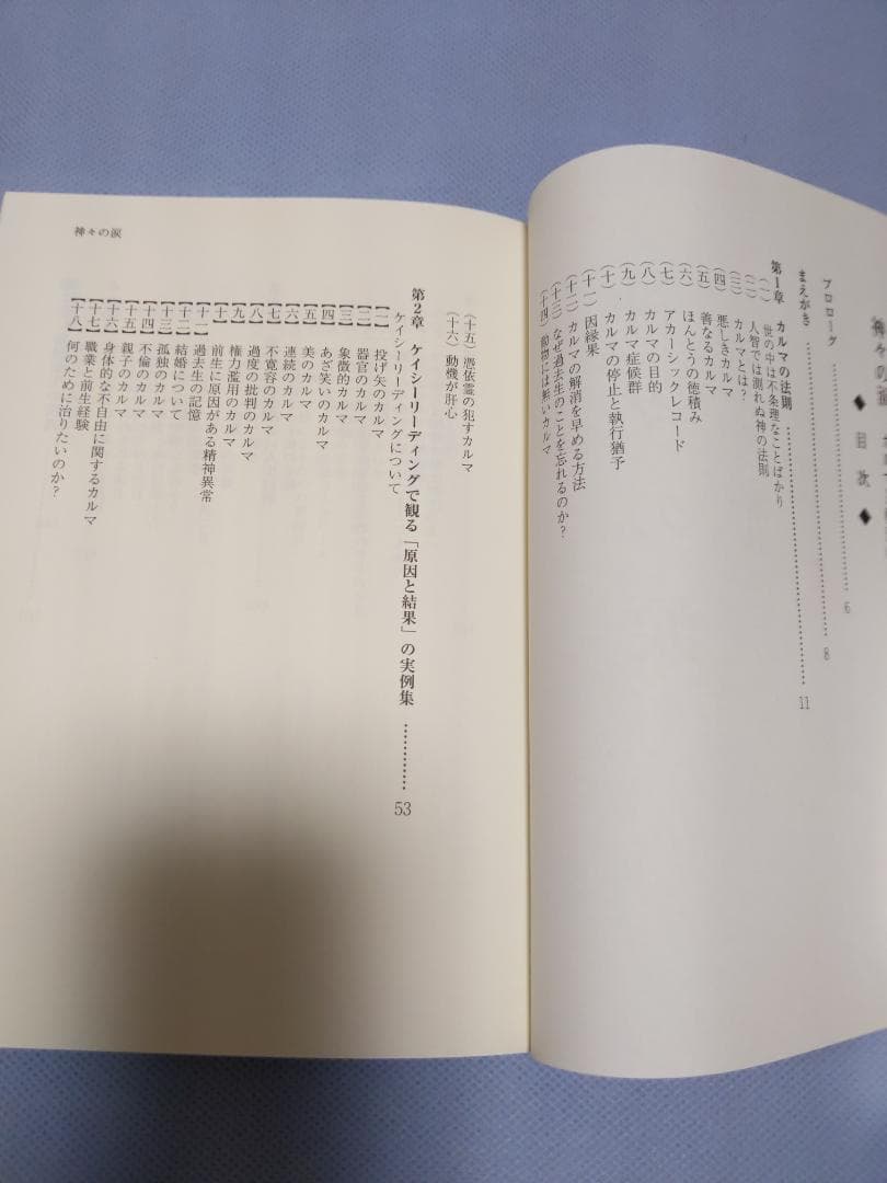 神々の涙 カルマと輪廻転生の摂理