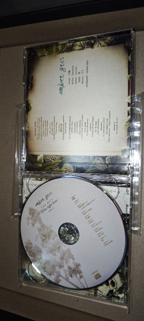 amber gris I'll be right here　ベスト