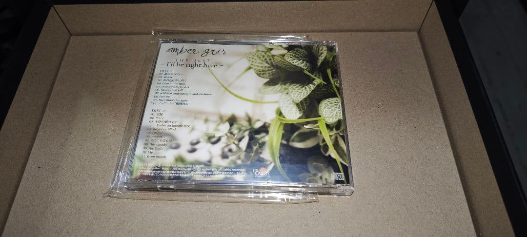 amber gris I'll be right here　ベスト