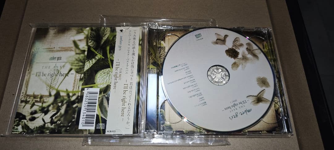 amber gris I'll be right here　ベスト
