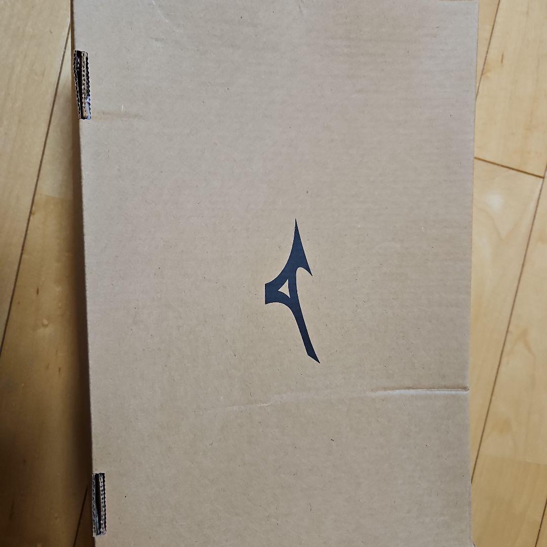 ミズノ ウエーブエクシード LIGHT WIDE OC テニス用