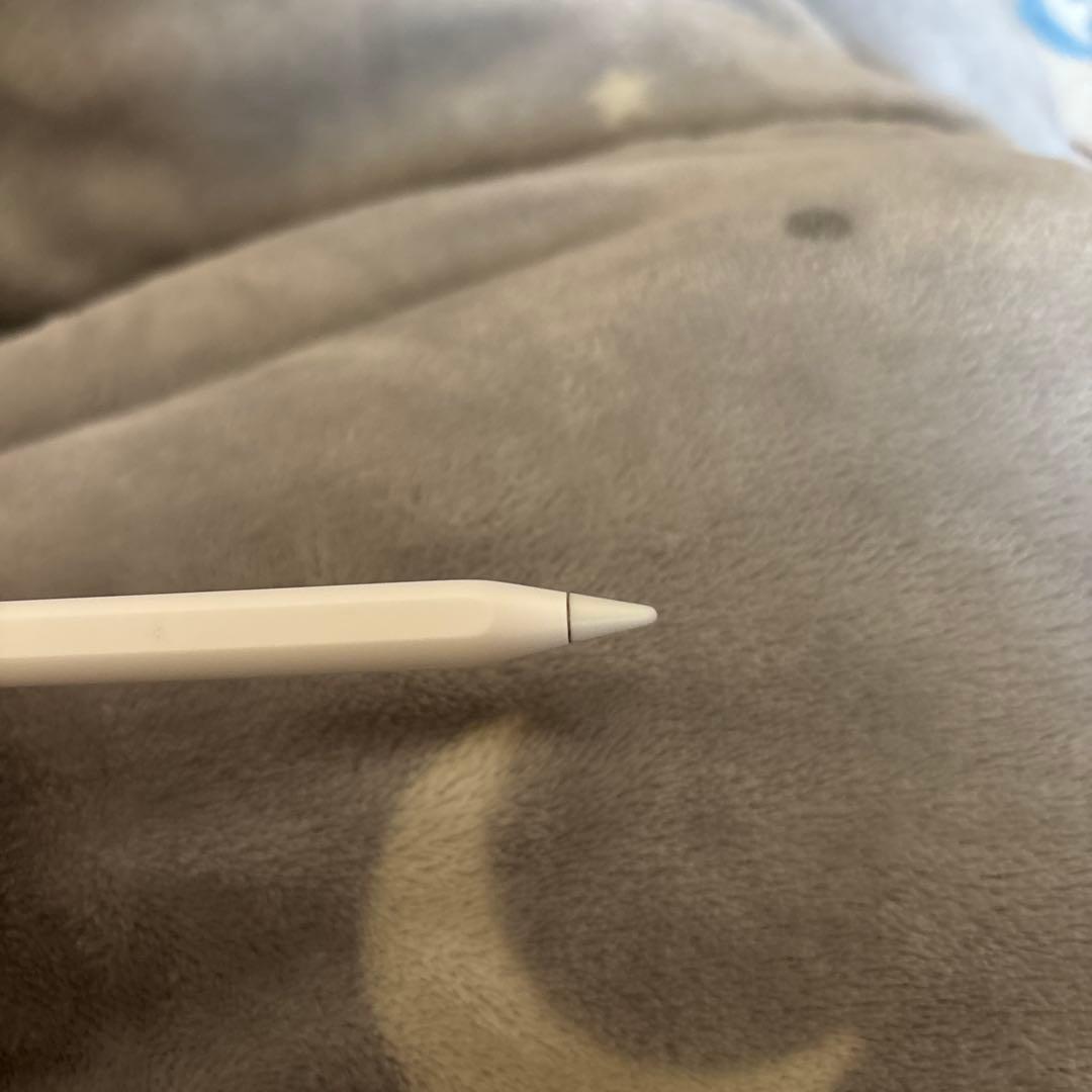 Apple Pencil Pro 本体のみ 動作確認済み 美品