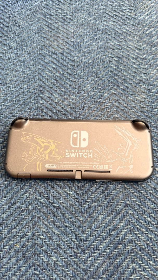 《入手困難!!》Nintendo Switch Lite 特別版 グレー