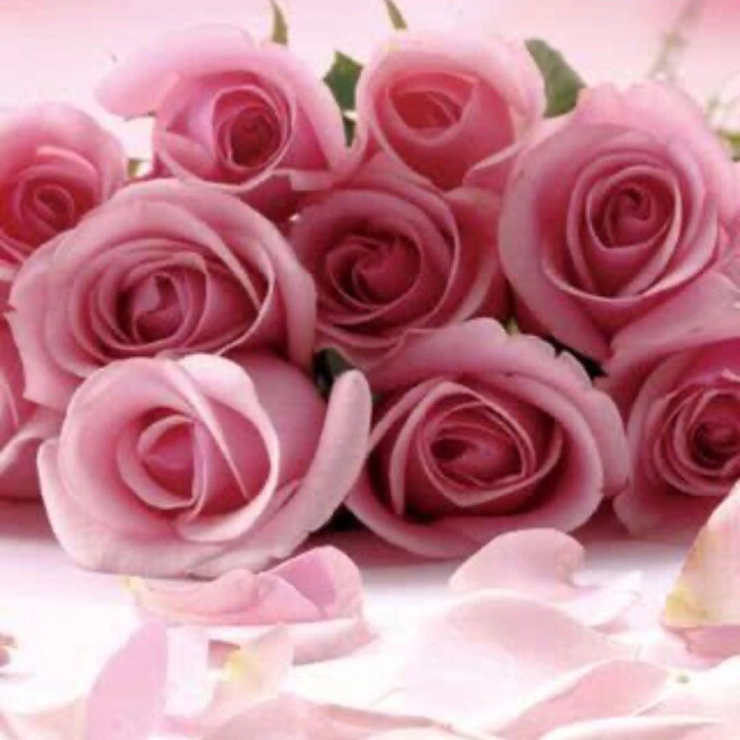 ケンケン様まとめ専用