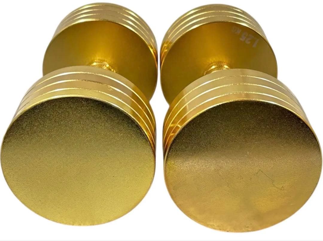 美品 NORTHDEER サンドブラスト版ゴールドアジャスタブルダンベル10kg