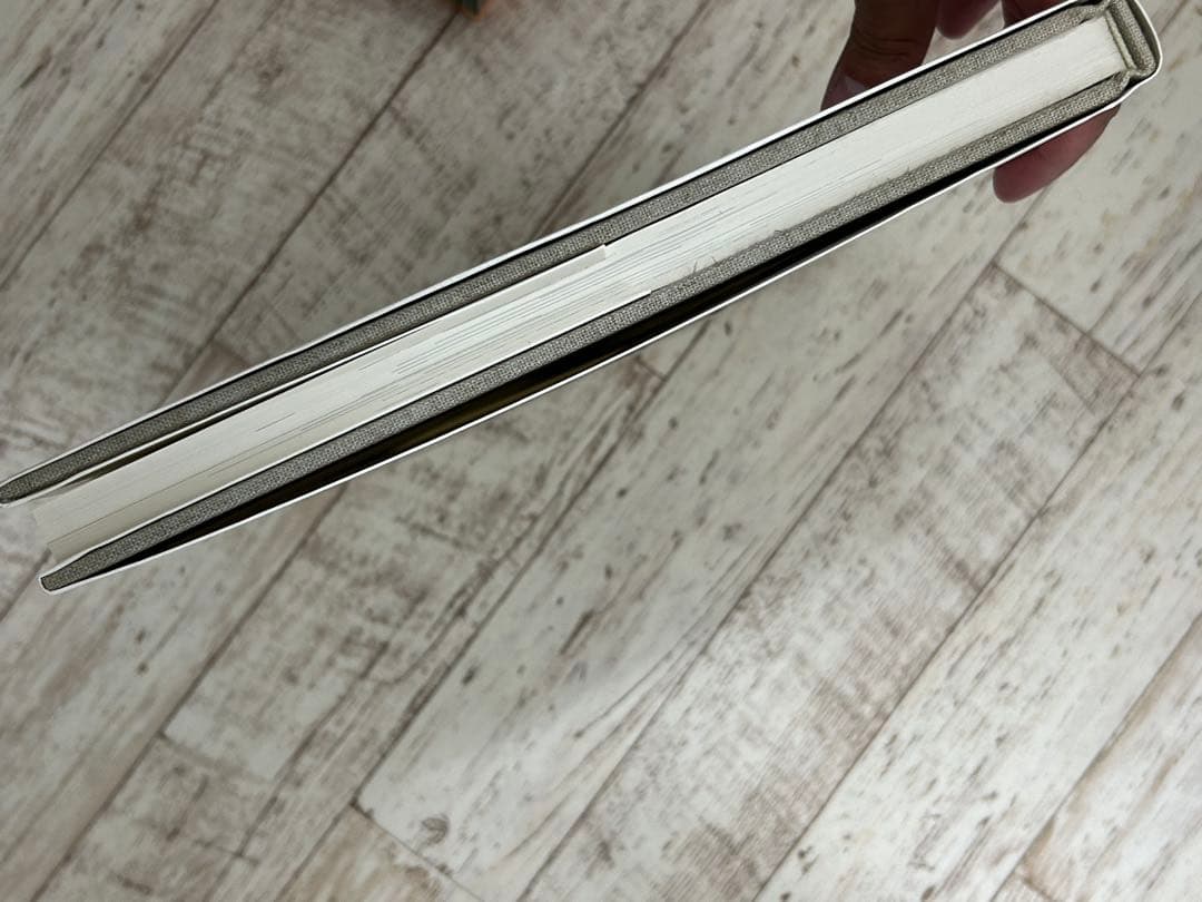 アーヴィング・ペン　三宅一生の仕事への視点