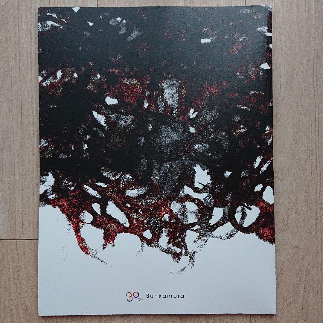 罪と罰 三浦春馬 パンフレット