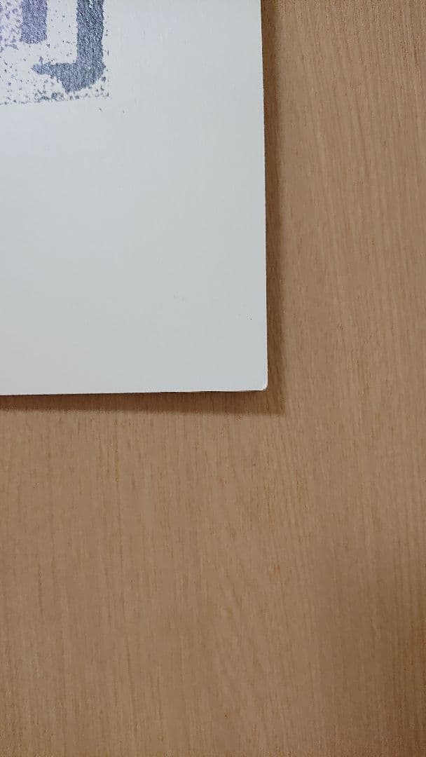 罪と罰 三浦春馬 パンフレット