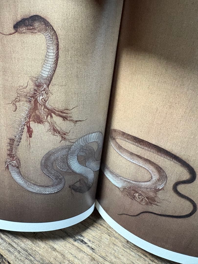 安値更新✨松井冬子 画集 世界中の子と友達になれる