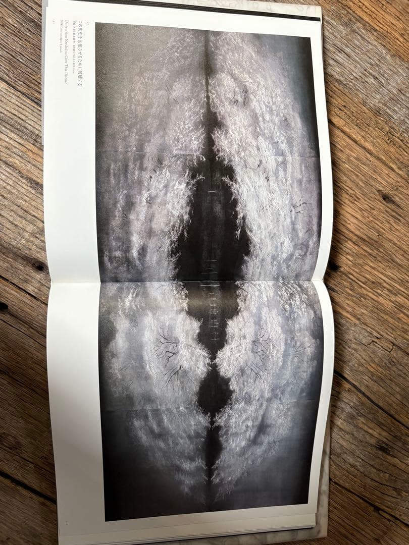 安値更新✨松井冬子 画集 世界中の子と友達になれる