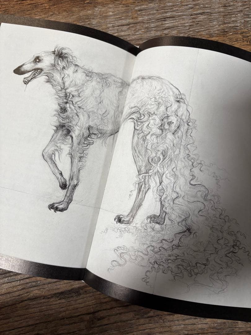 安値更新✨松井冬子 画集 世界中の子と友達になれる