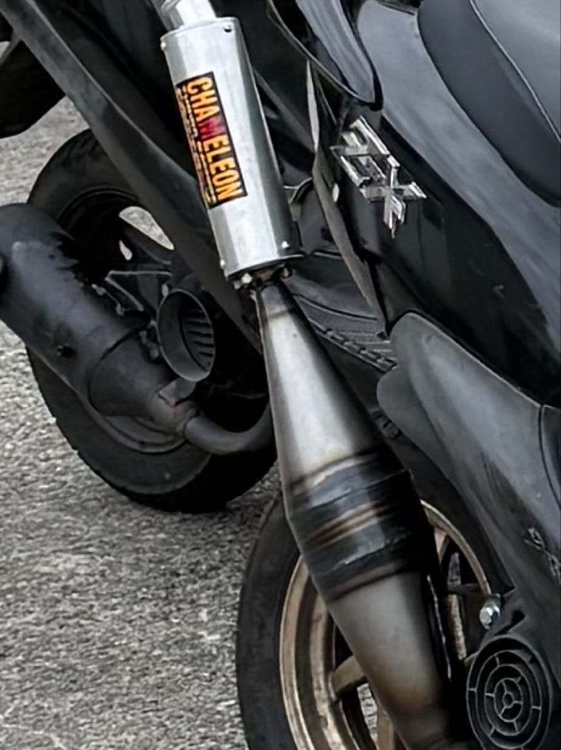 カメレオンファクトリーライブディオzx