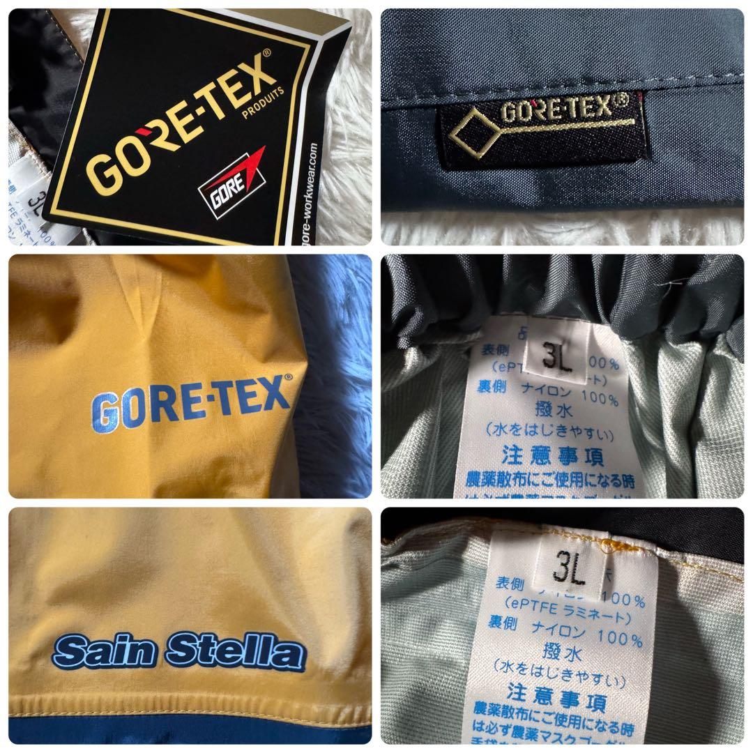⸝*⸜様 未使用/タグ付き✨レインウェア　セットアップ　ゴアテックス　3L