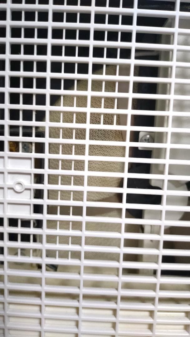 【中古品】パナソニック衣類乾燥除湿機　F-YZS60 ブラック　2019年製