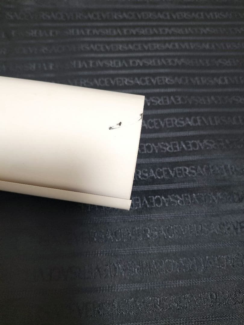 ベルセルク ポスター グリフィス&ガッツ 2001年 ヤングアニマル 三浦建太郎