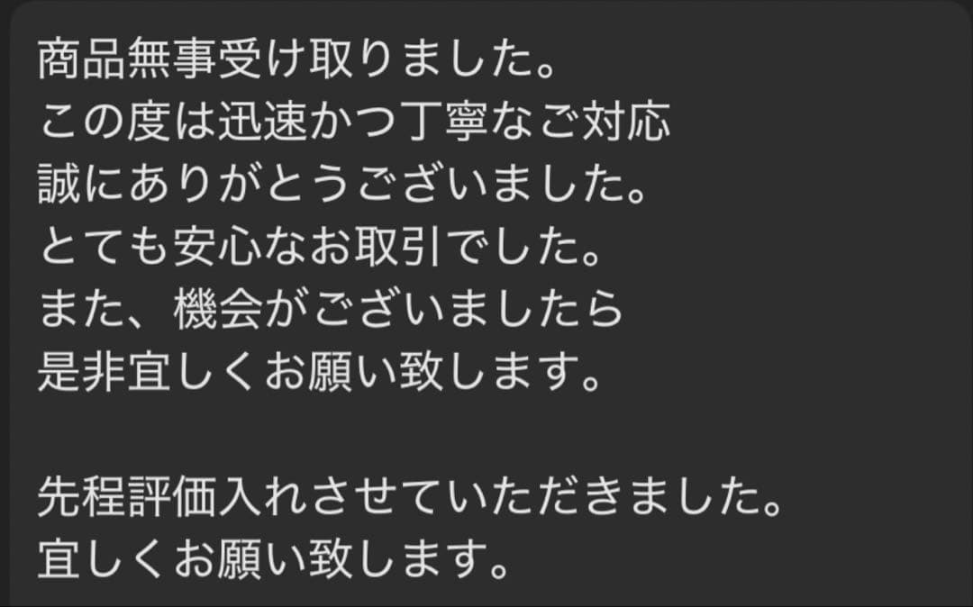 （KENMAX】本革製ボディプロテクター ベリー 赤/黒 L・Mサイズ