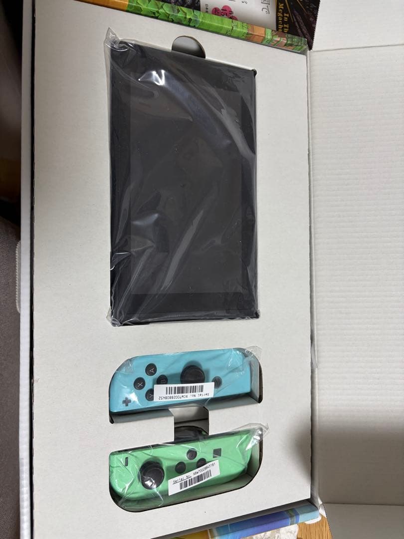 Nintendo Switch あつまれ どうぶつの森　バージョン