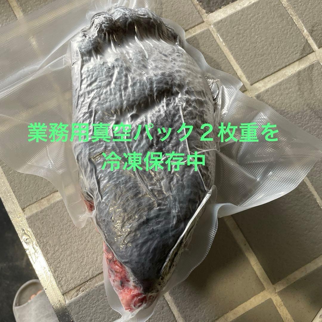 ヒグマ後ろ足、オス、幅14cm、長さ32cm冷凍品（クール便発送）