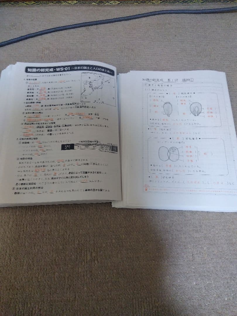 2022 SAPIX ウィークリーサピックス 理科・社会 知識の総完成 赤解答