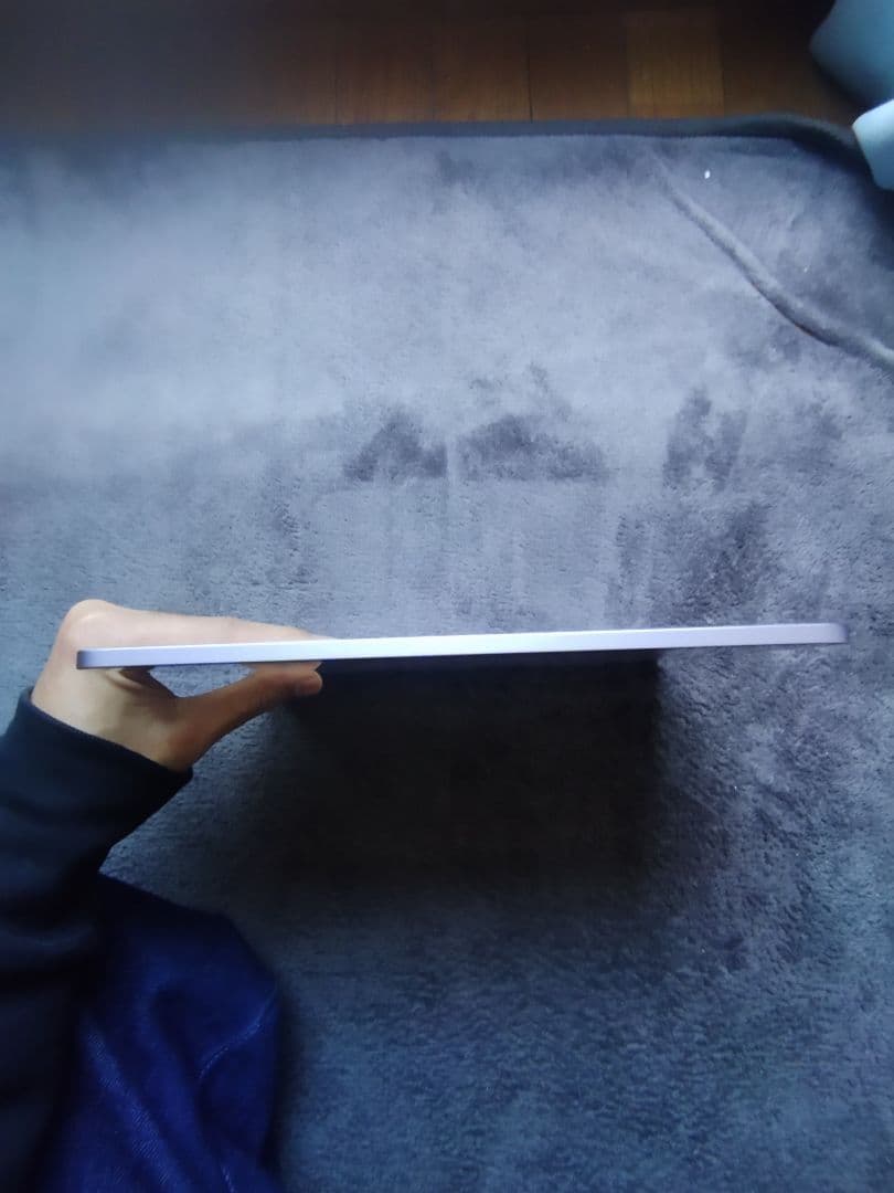 Apple 11インチiPad Air (M2) Wi-fi 本体