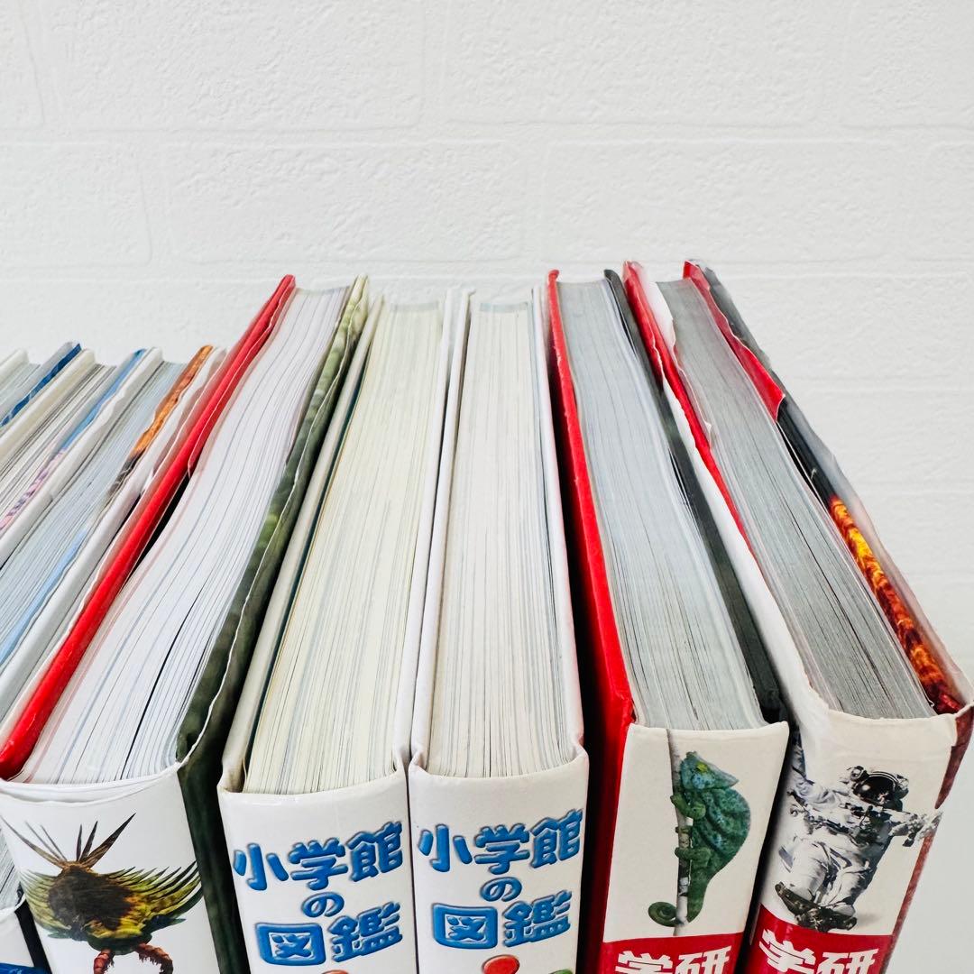 美品　小学館の図鑑NEO 学研の図鑑LIVE 講談社の動く図鑑MOVE 9冊
