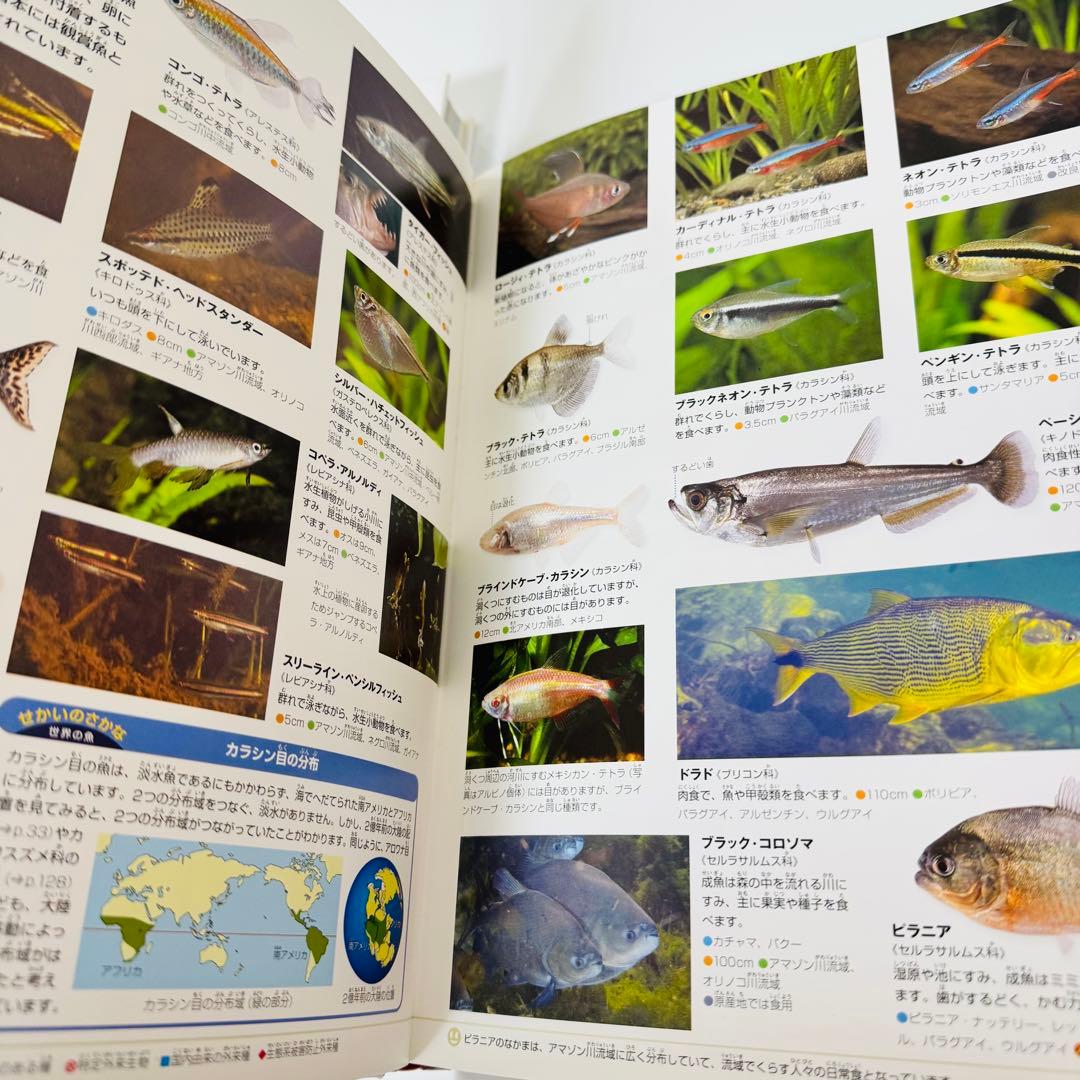 美品　小学館の図鑑NEO 学研の図鑑LIVE 講談社の動く図鑑MOVE 9冊