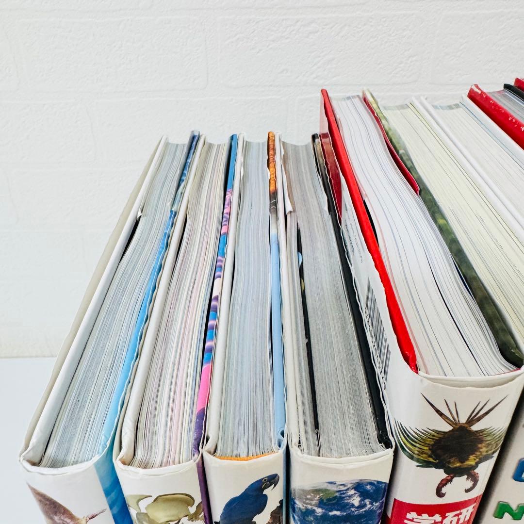 美品　小学館の図鑑NEO 学研の図鑑LIVE 講談社の動く図鑑MOVE 9冊