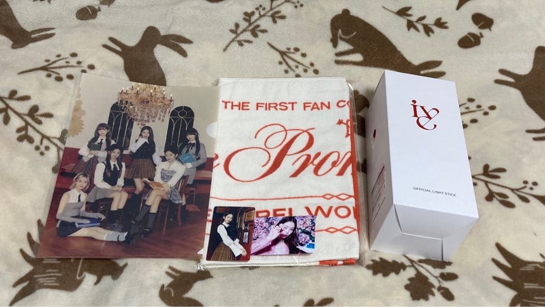 IVE ファンコンサート　ウォニョンセット