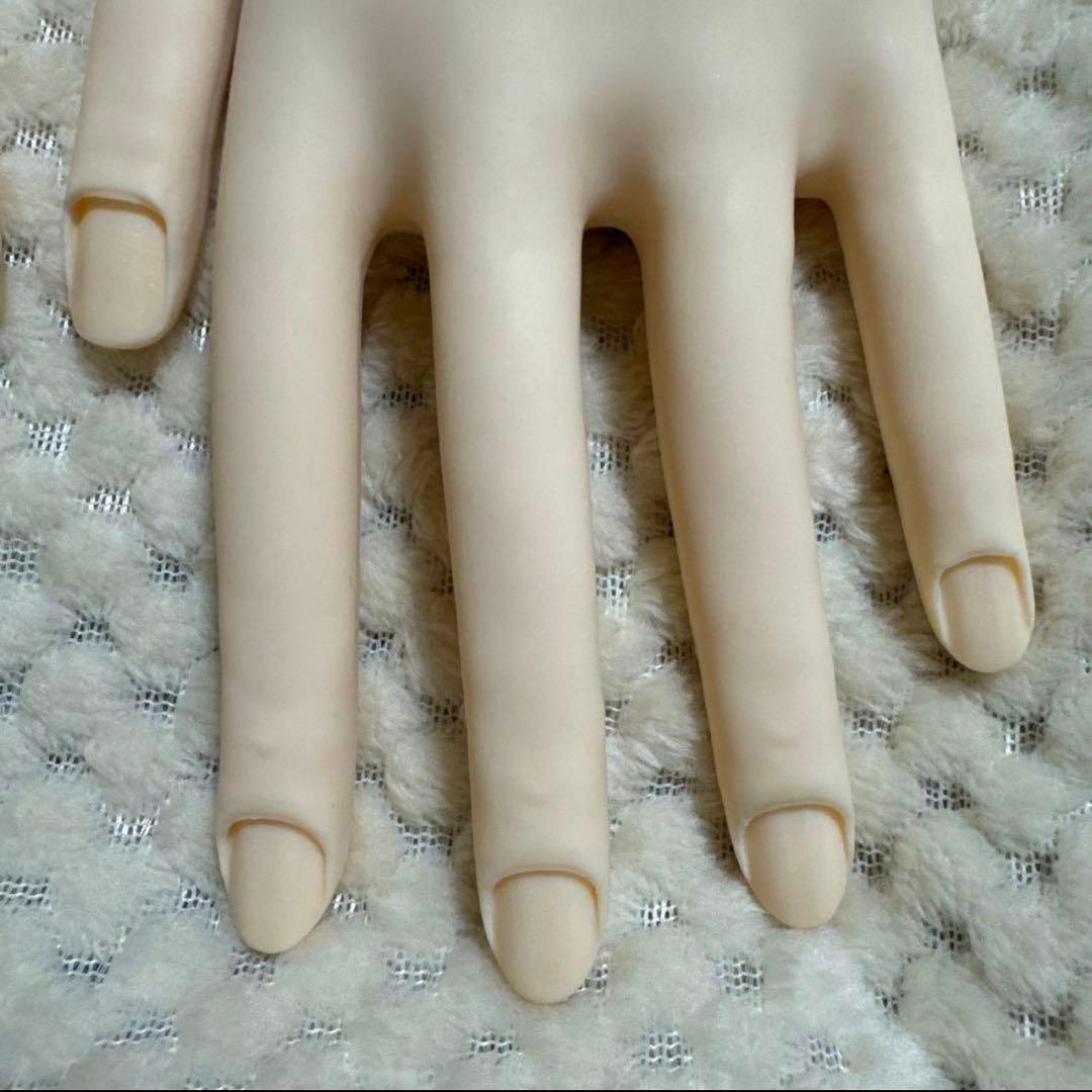 ネイリスト検定セット 認定モデルハンド