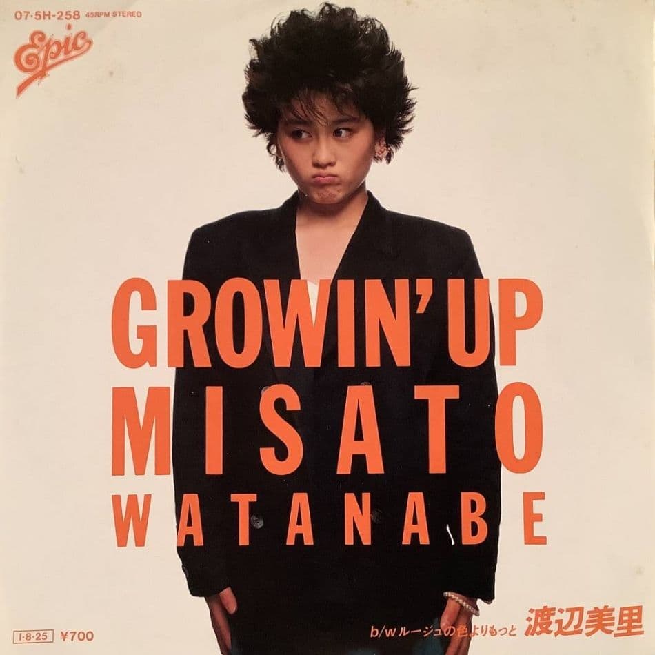 渡辺美里 My Revolution サインあり 他