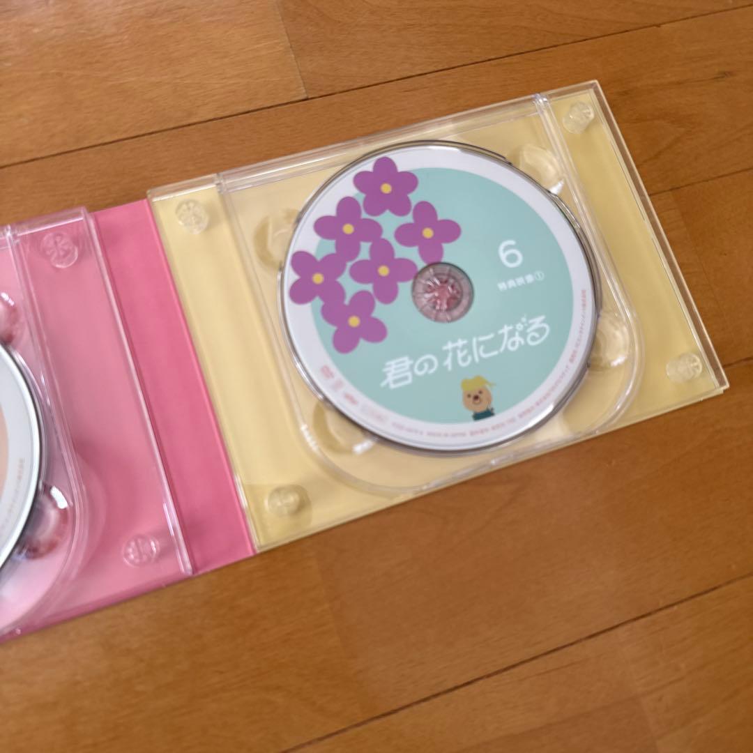 君の花になる　DVD BOX セット