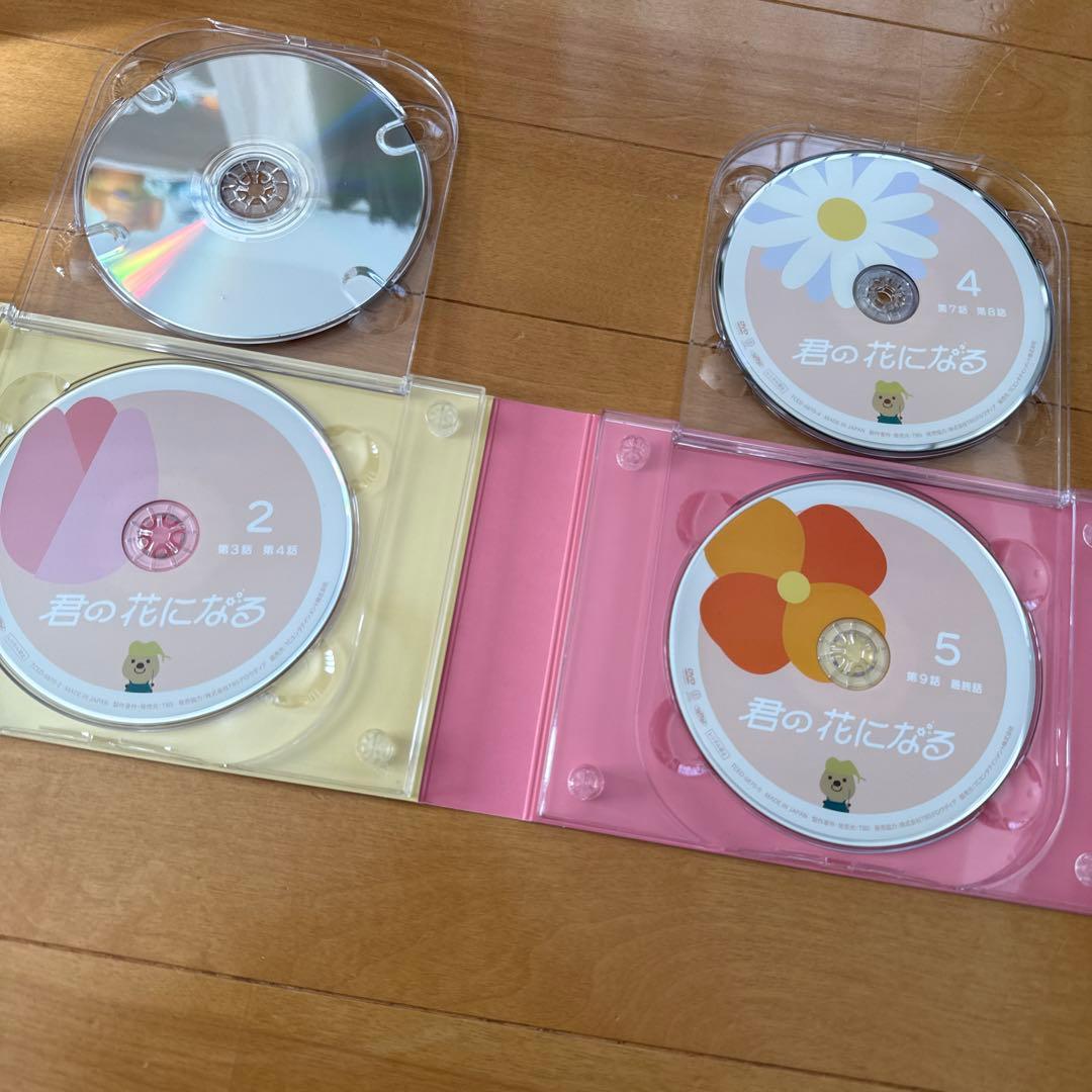 君の花になる　DVD BOX セット