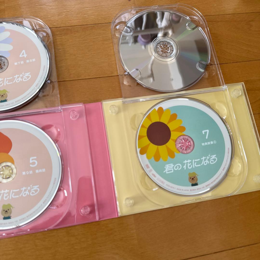 君の花になる　DVD BOX セット