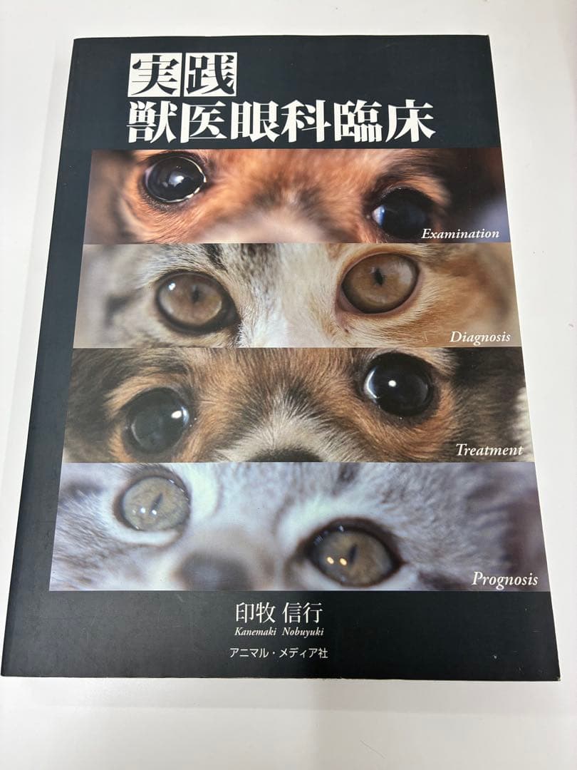実践獣医眼科臨床 小動物