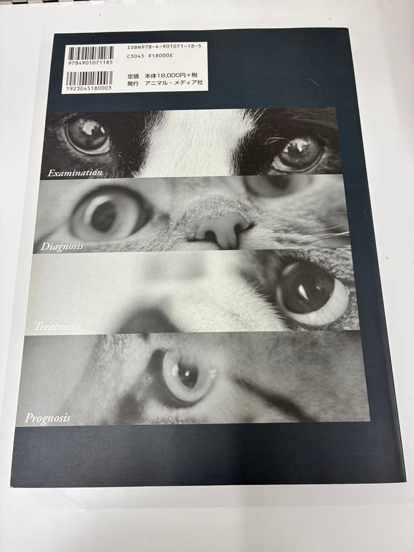 実践獣医眼科臨床 小動物