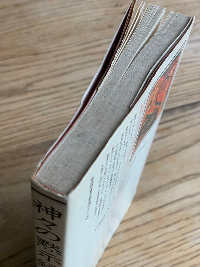 神々の黙示録 謎に包まれた神さま界のベールを剥ぐ