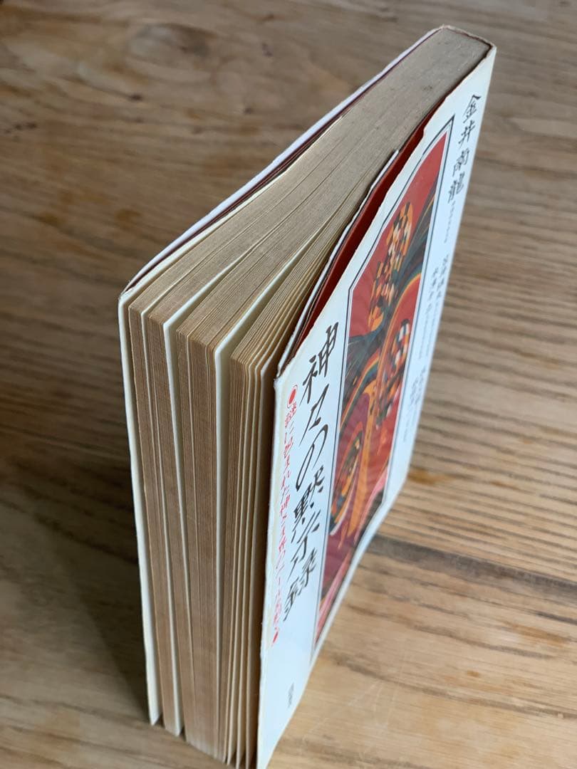 神々の黙示録 謎に包まれた神さま界のベールを剥ぐ