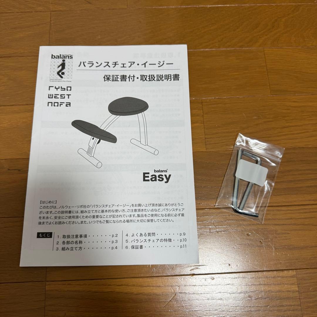 【minipham】 バランスイージー Rybo リボ社 カバー付き