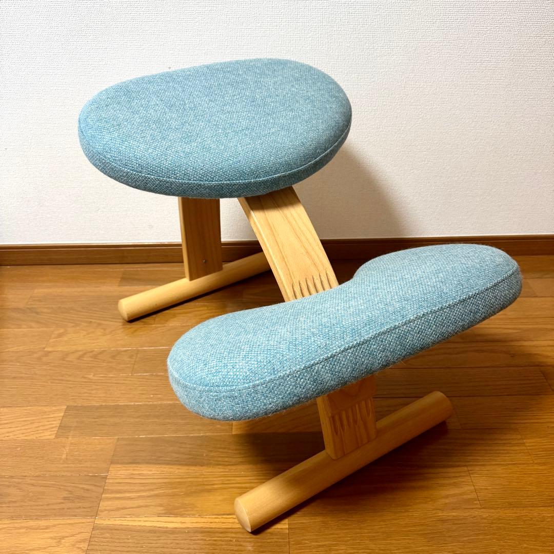 【minipham】 バランスイージー Rybo リボ社 カバー付き