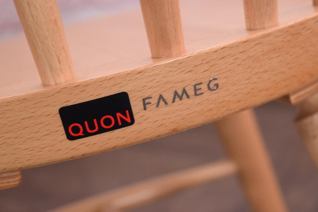 展示品 ポーランド製 FAMEG Sector ダイニングチェアb QUON取扱