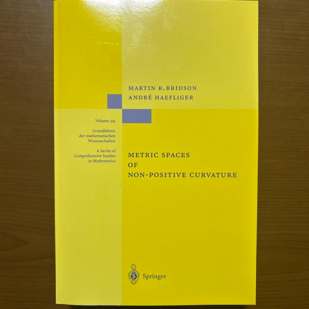 Metric Spaces 非正曲率空間【洋書美品】