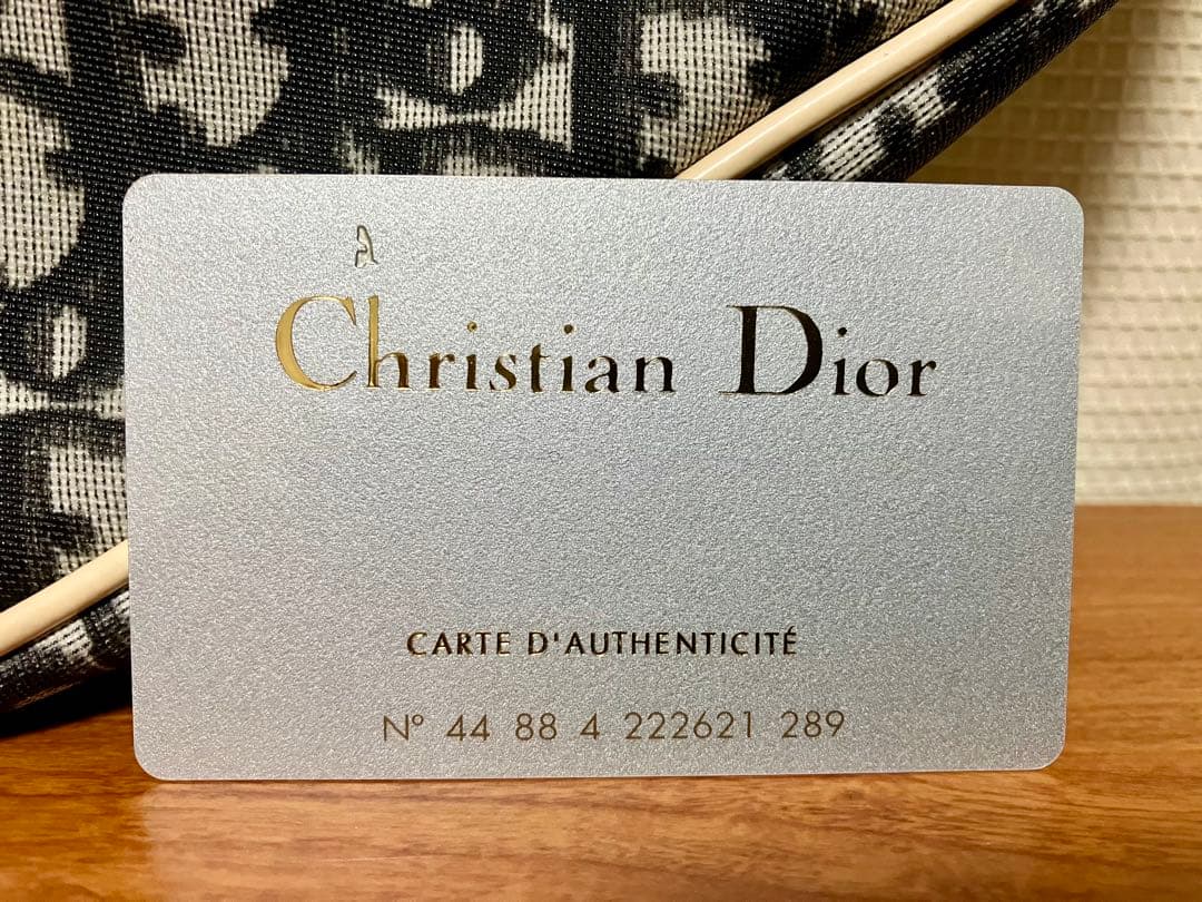 Dior ディオール トロッター サドルバッグ　ショルダーバッグ