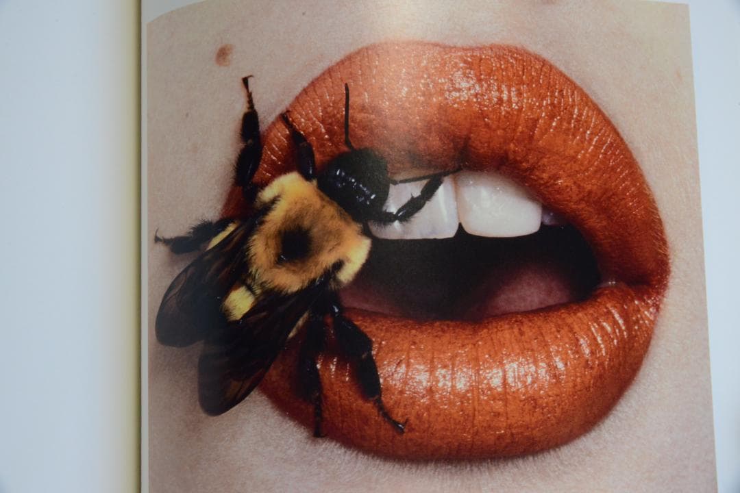 【Irving Penn：Beyond Beauty】　★★大幅に値下げしました